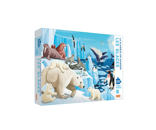 La Planète En Danger - Les Glaces