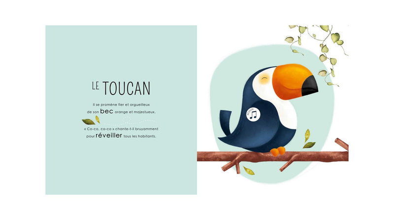 Les Petits Habitants De La Jungle