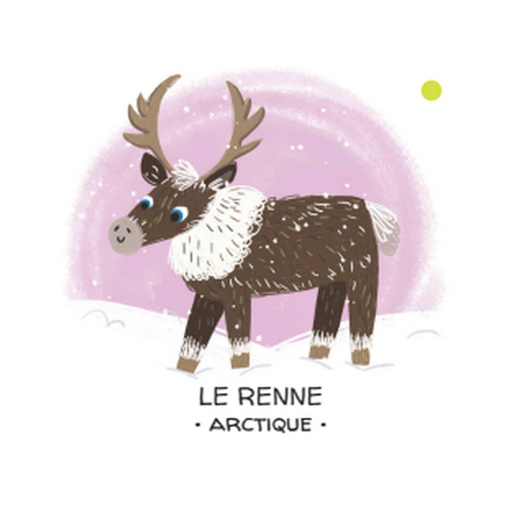 Protejamos a los Animales. La Banquisa