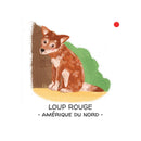 Protégeons Les Animaux. La Forêt