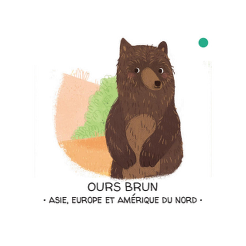 Protégeons Les Animaux. La Forêt