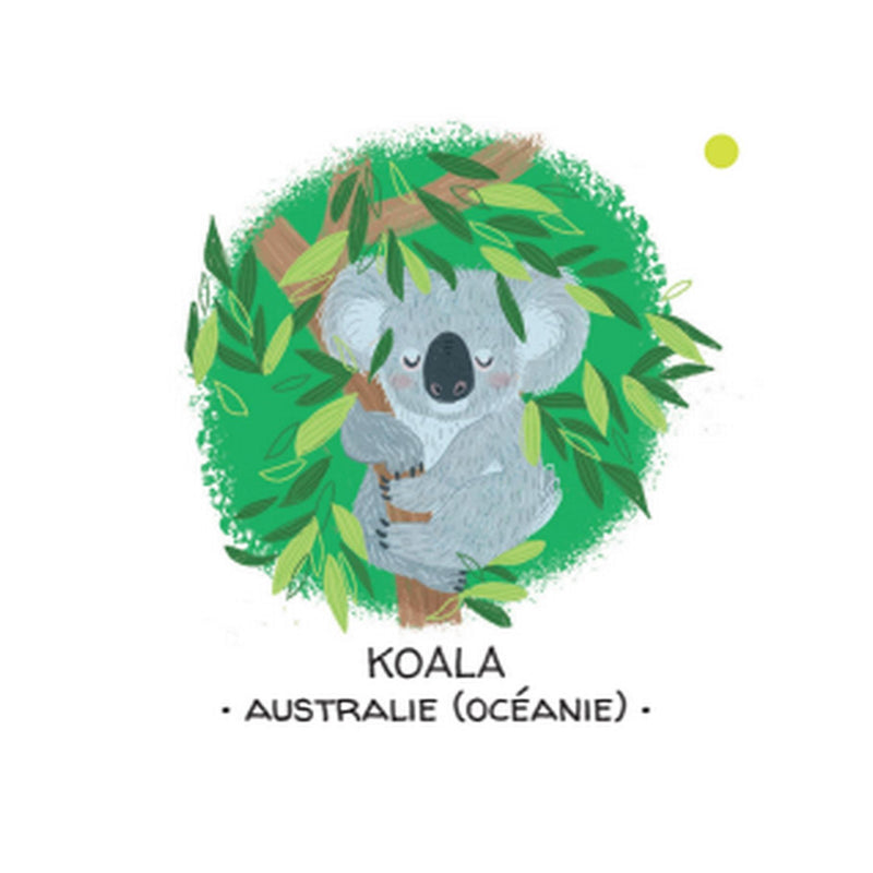 Protégeons Les Animaux. La Forêt