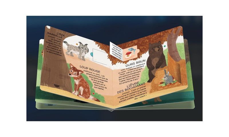 Protégeons Les Animaux. La Forêt