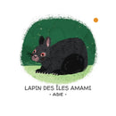 Protégeons Les Animaux. La Forêt