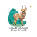 Protégeons Les Animaux. La Forêt