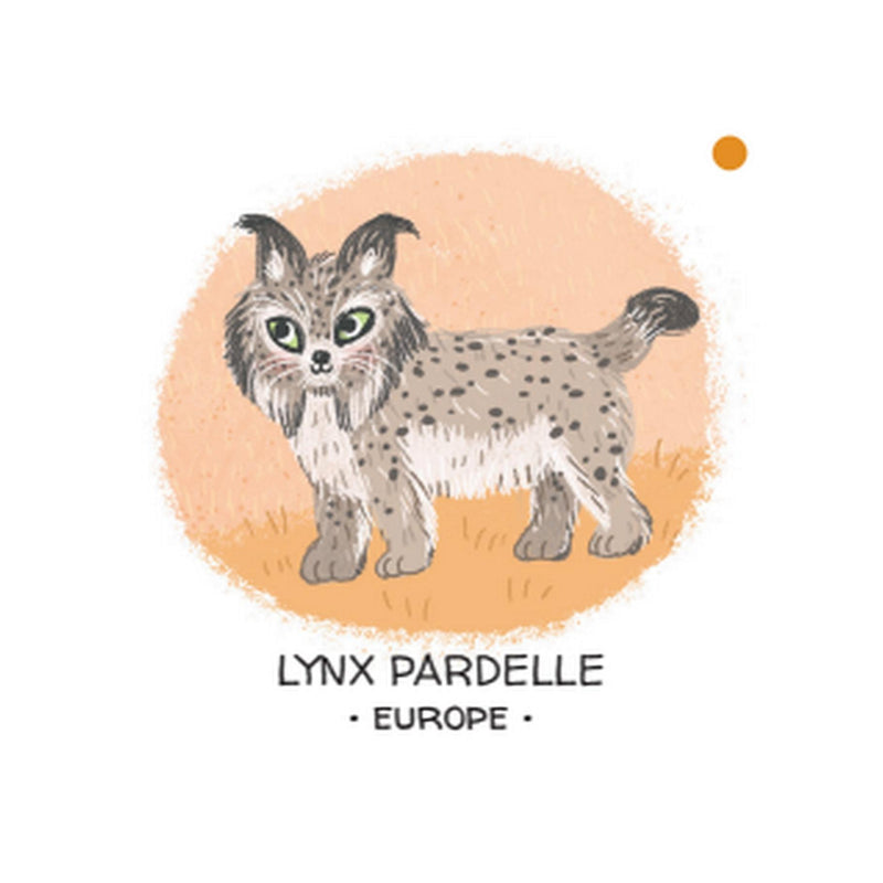 Protégeons Les Animaux. La Forêt