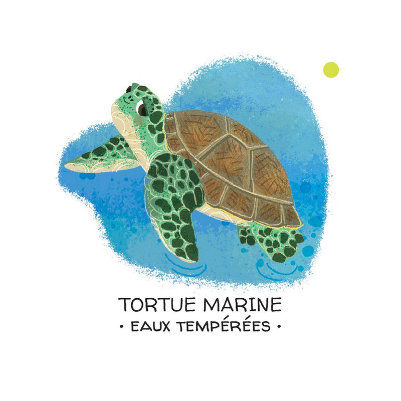 Protégeons Les Animaux. Mers Et Océans