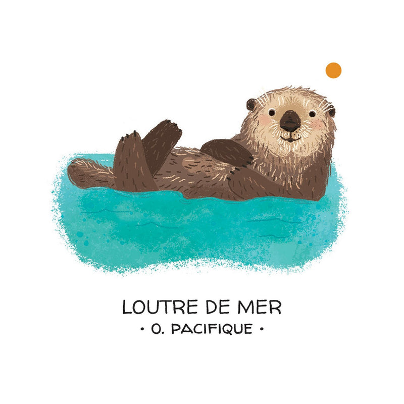 Protégeons Les Animaux. Mers Et Océans