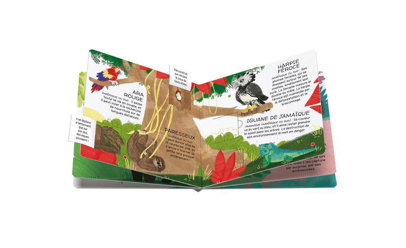 Protégeons Les Animaux. Les Forêts Tropicales