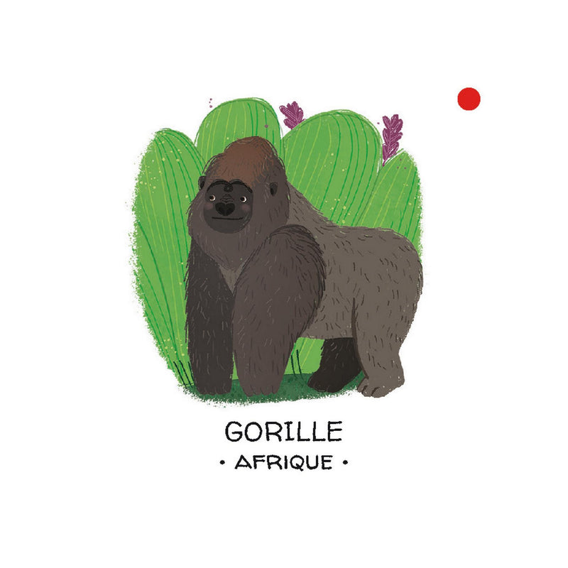 Protégeons Les Animaux. Les Forêts Tropicales