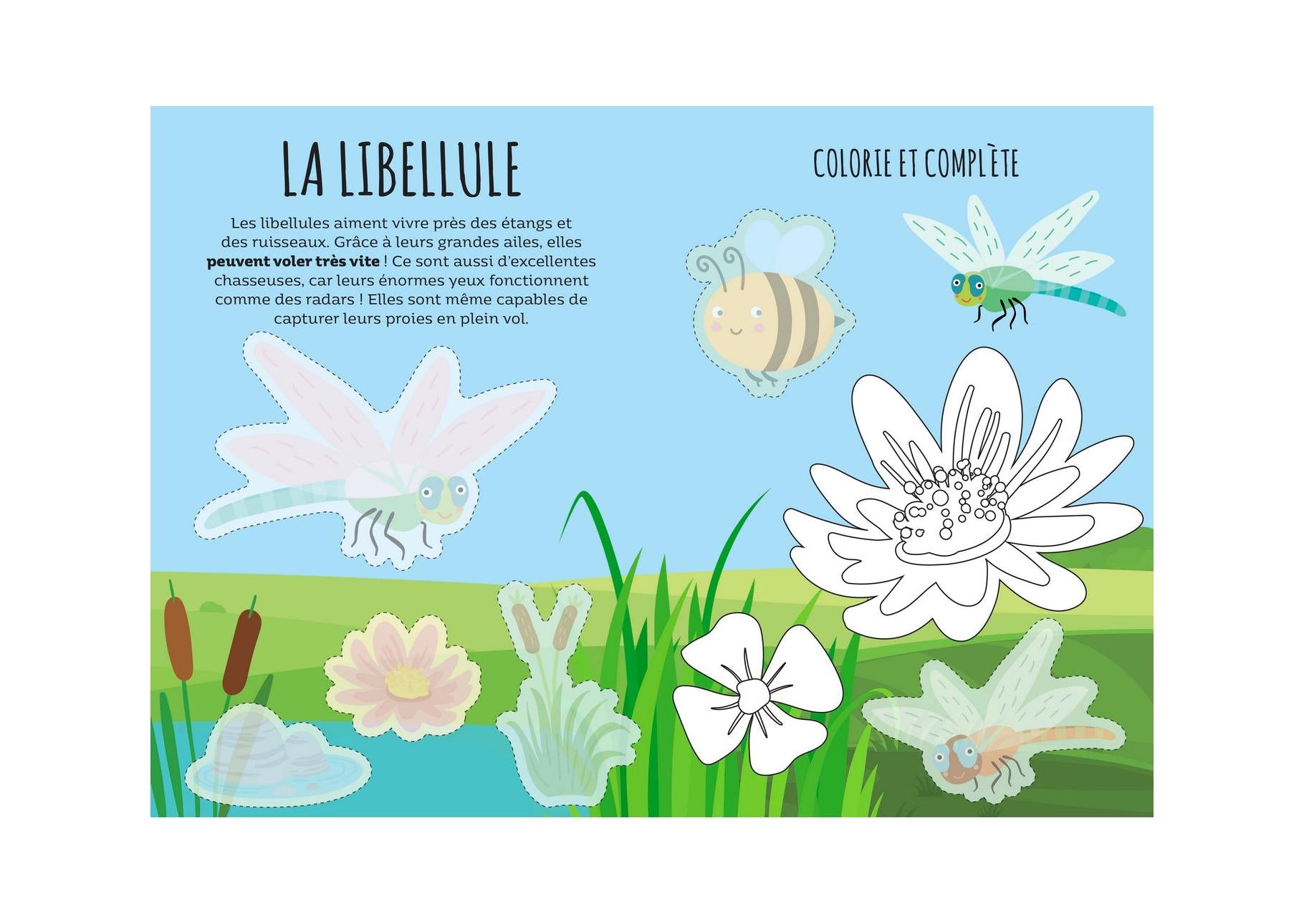Libro y Juegos - El Mentiroso. El Jardín