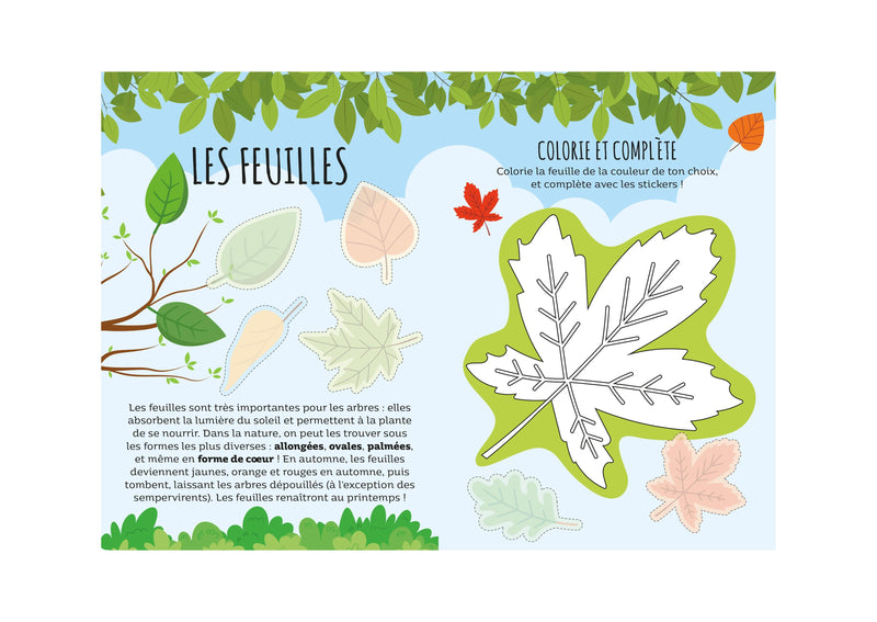 Le Menteur. La Nature