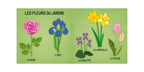 Q-Box. El Mundo de las Flores