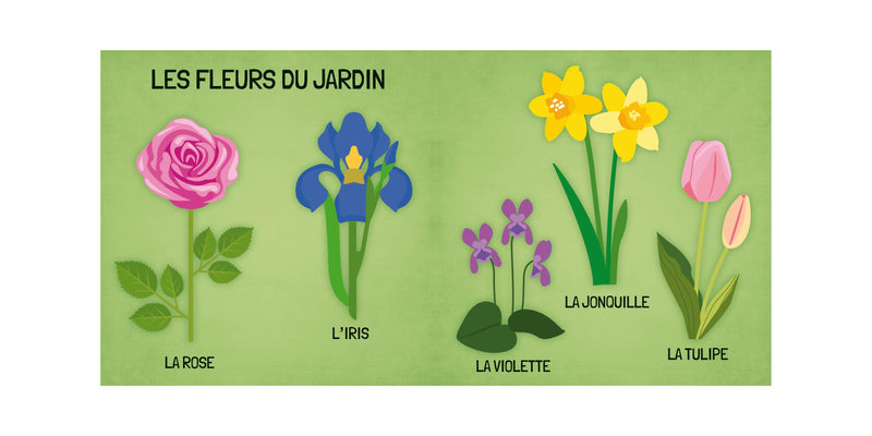 Q-Box. Le Monde Des Fleurs