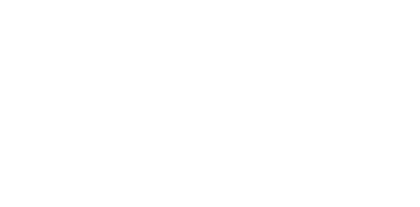 Logo Van Palma