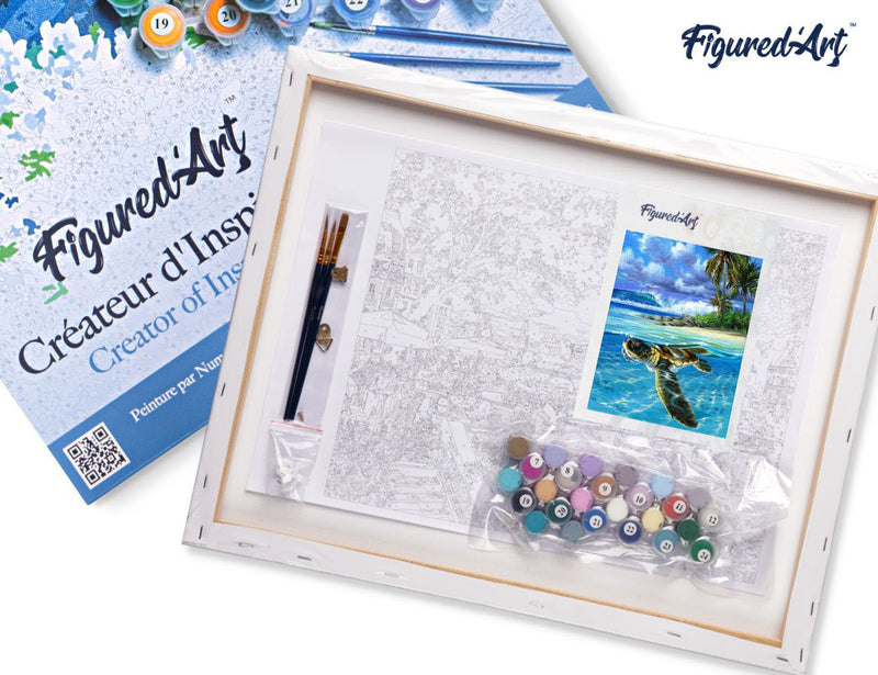 Peinture Par Numéros - Notre-Dame Etoilée