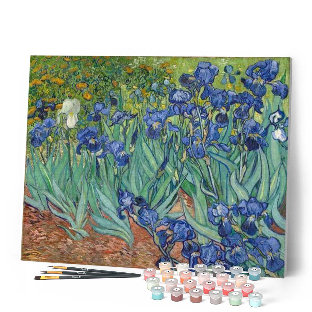 Paint By Numbers - Van Gogh Irises