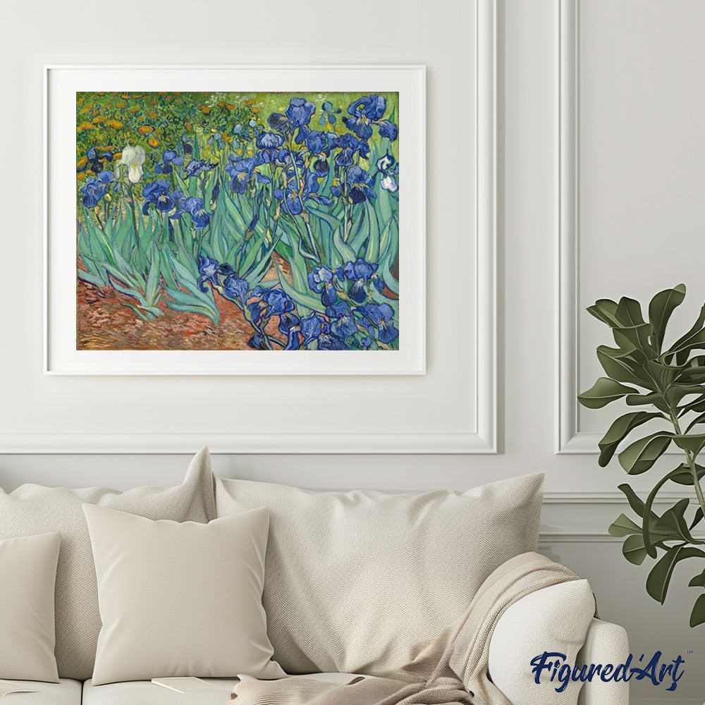 Paint By Numbers - Van Gogh Irises