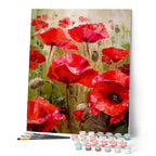 Pintura por números - Campo de amapolas
