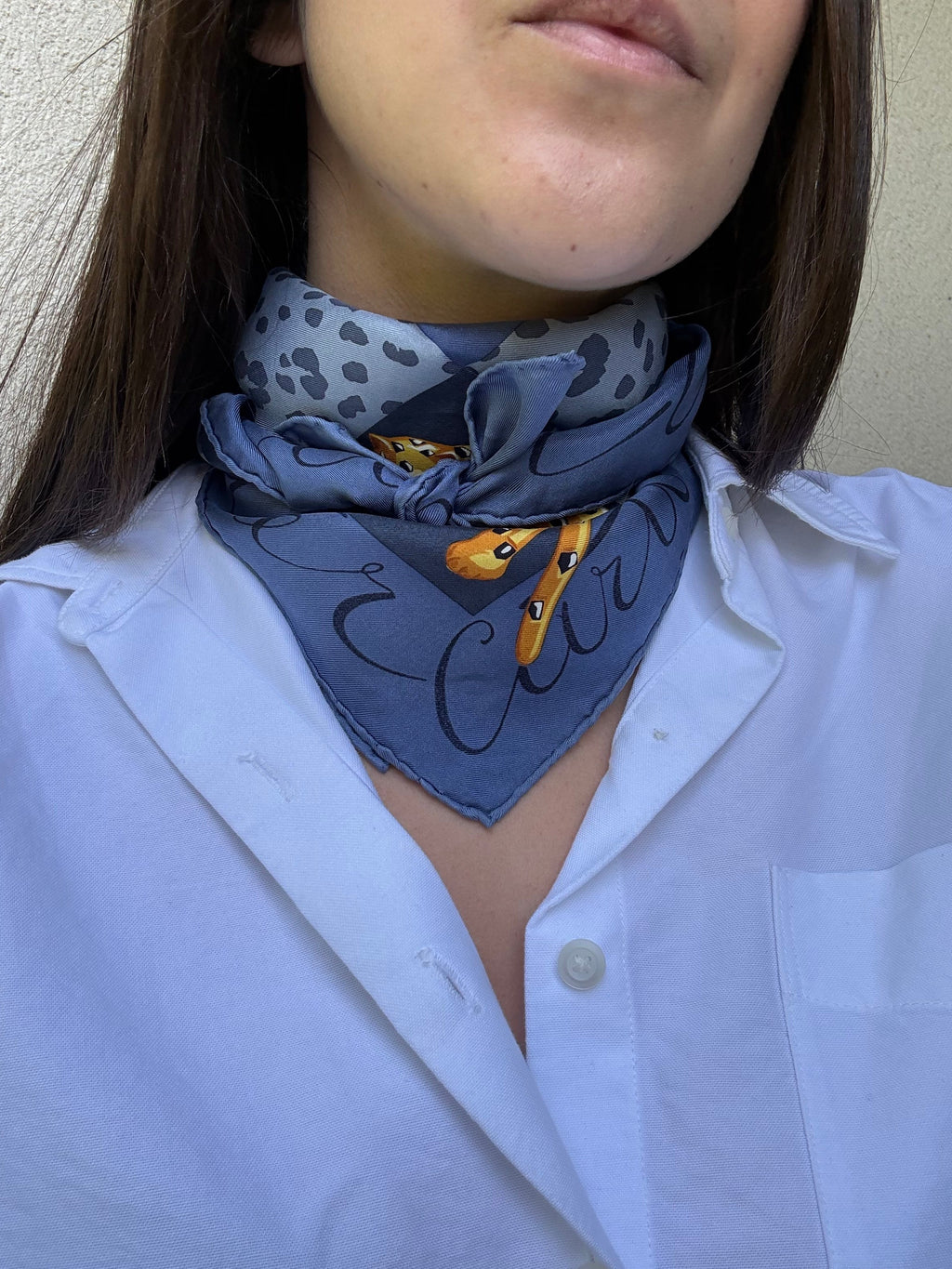 Bufanda Cartier – Modelo Azul Y Panteras