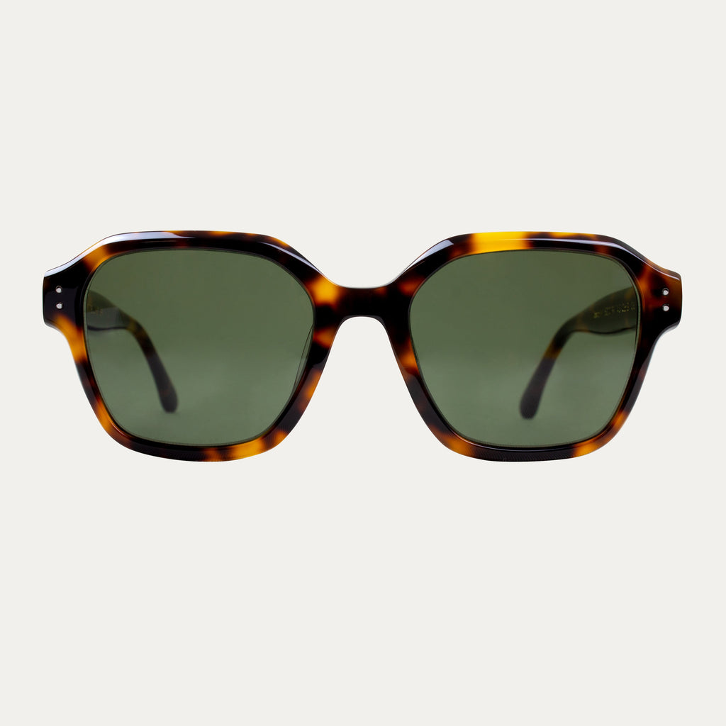 Gafas de sol Dexter.M - Carey - Hombre