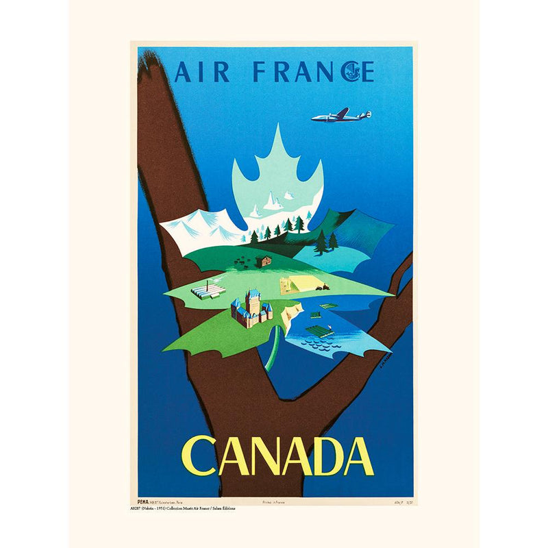 Image Alt Text
