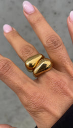 Anello Duo Asimmetrico