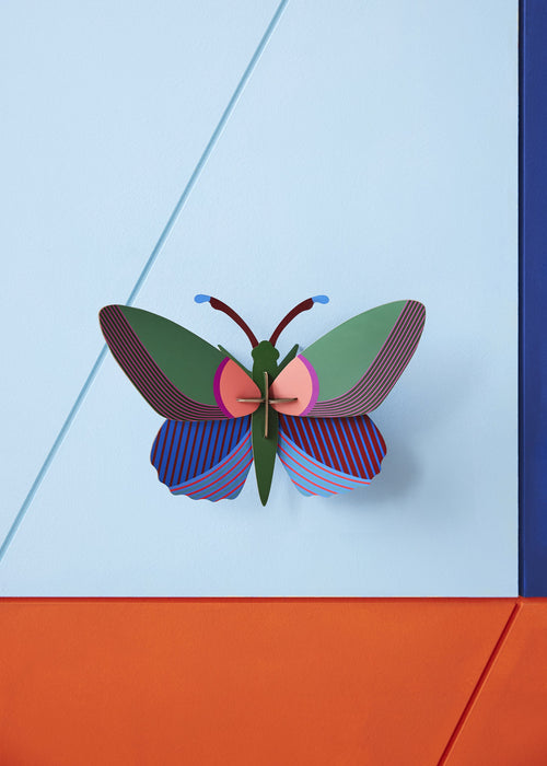 Mariposa acacia
