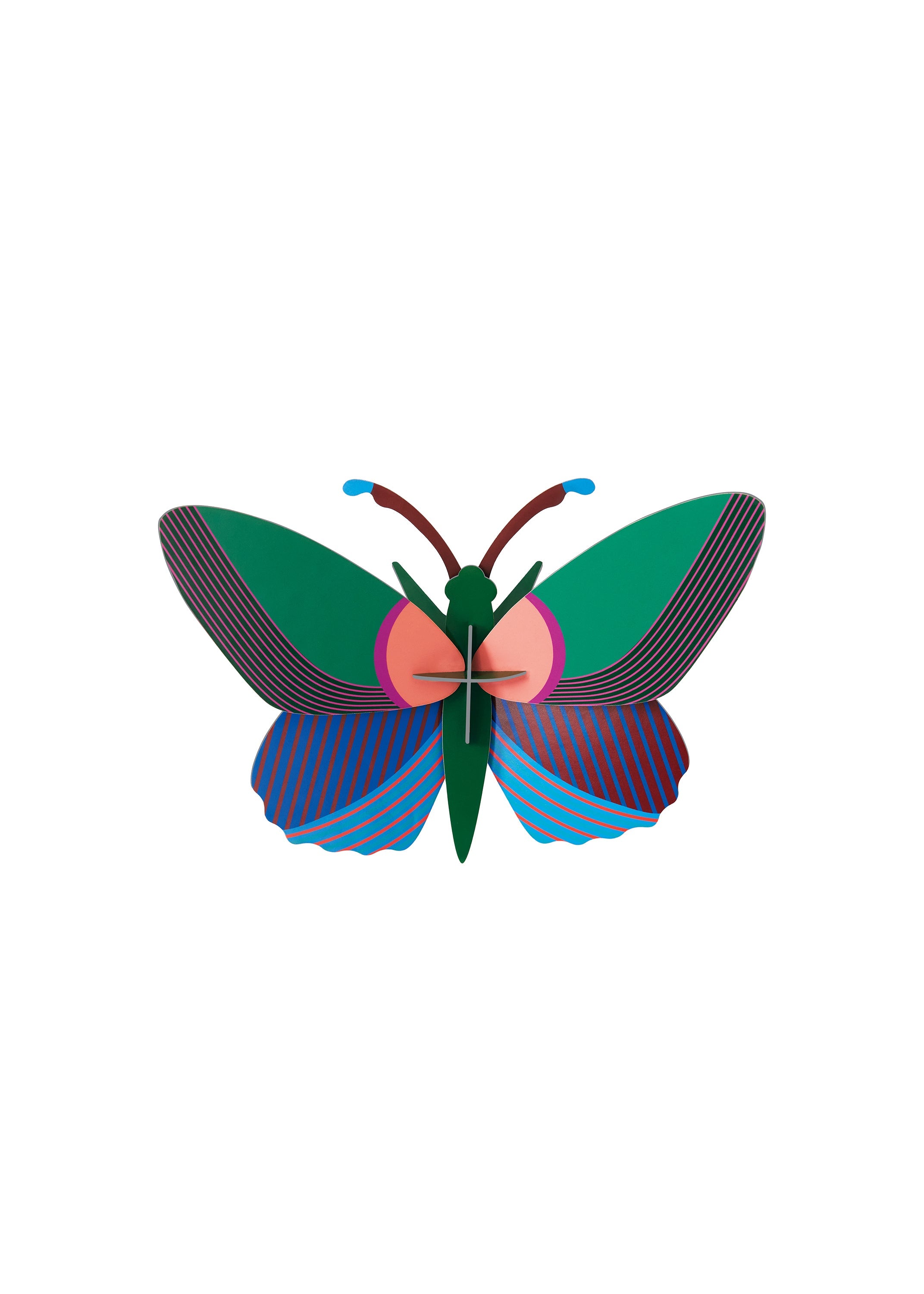 Acacia Butterfly
