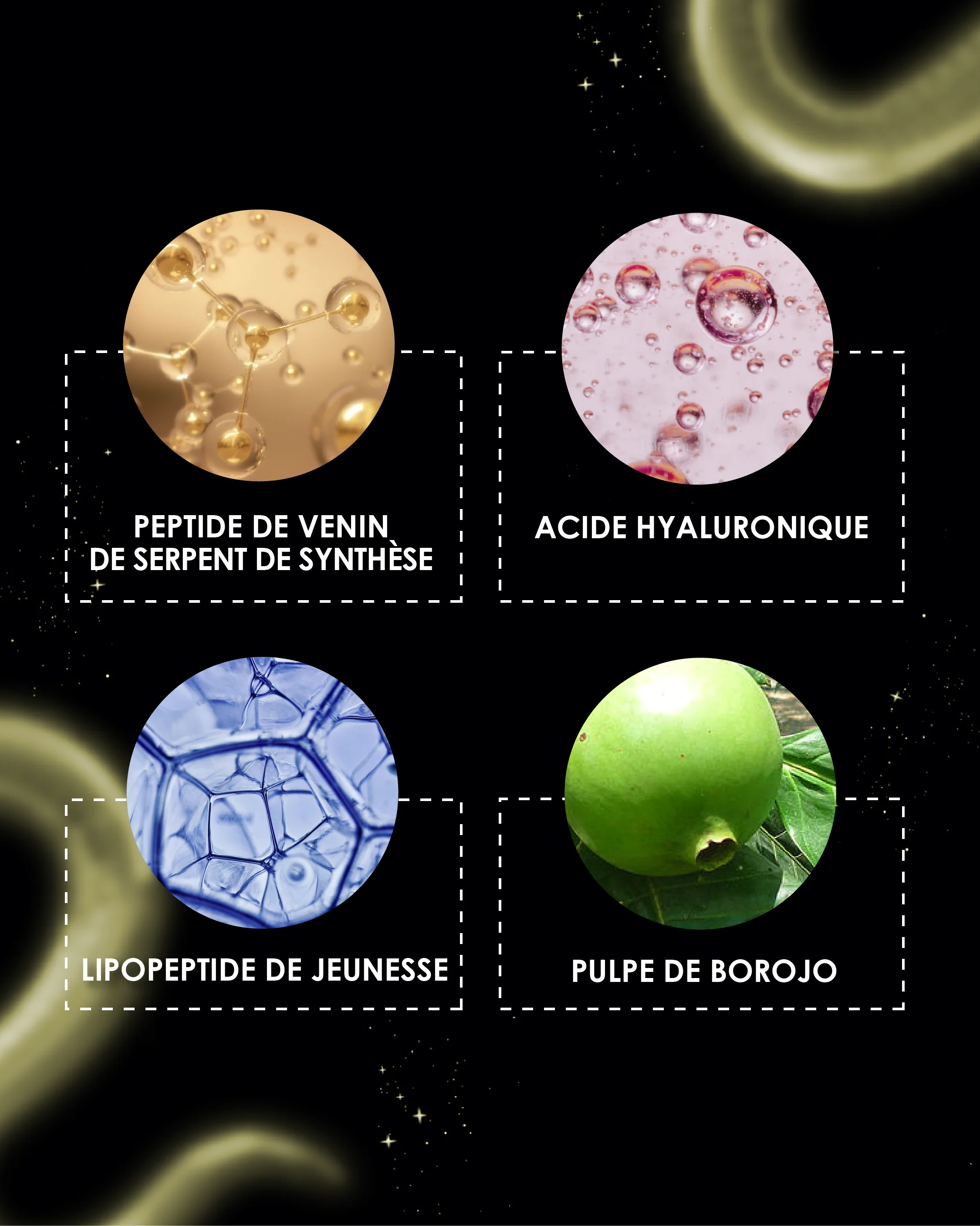 Les 4 actifs clés de la gamme Garancia Mystérieuses : Peptide de venin de serpent de synthèse, Acide hyaluronique, Lipopeptide de jeunesse et Pulpe de Borojo
