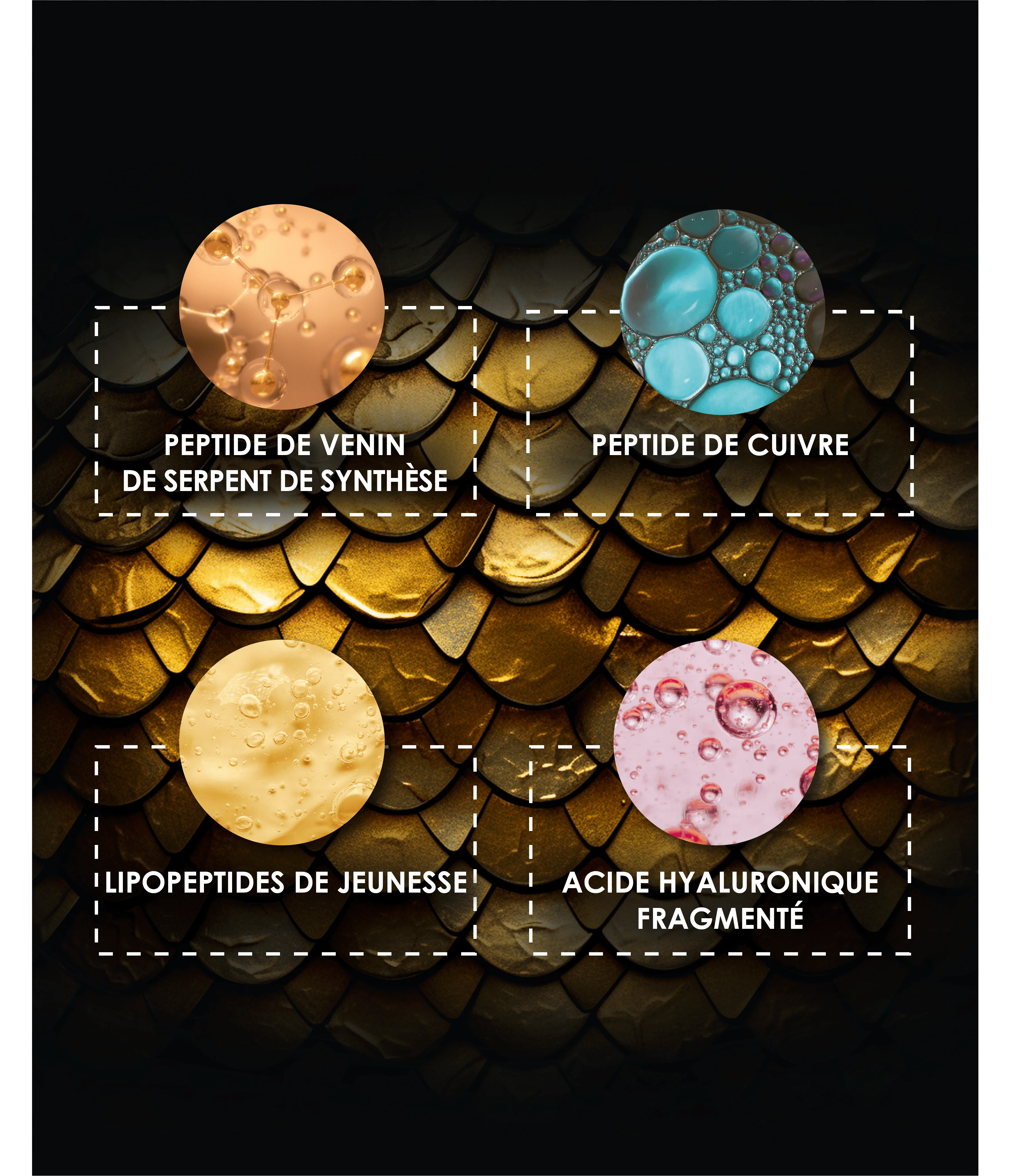 Laboratoire Garancia Anti-Âge & Anti-Rides [ MYSTÉRIEUX Mille et Un Jours ] Actifs anti-âge de pointe du soin Garancia Mystérieux : Peptide de venin de serpent de synthèse, Peptide de cuivre, Lipopeptides de jeunesse et Acide Hyaluronique fragmenté.