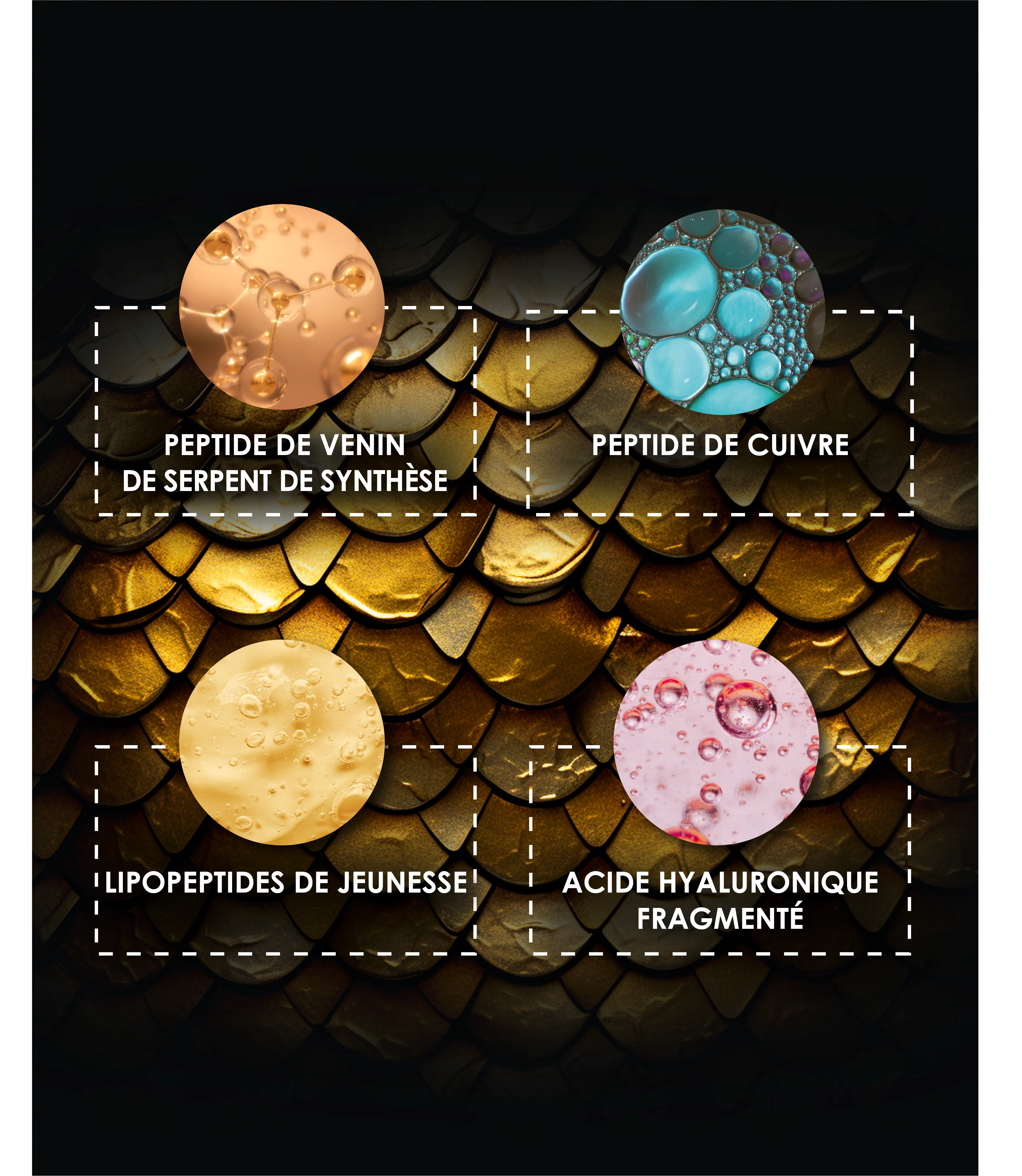 Focus on the scientific formula of the Mystérieux range and its anti-aging active ingredients (Snake Venom, Copper, Hyaluronic Acid)