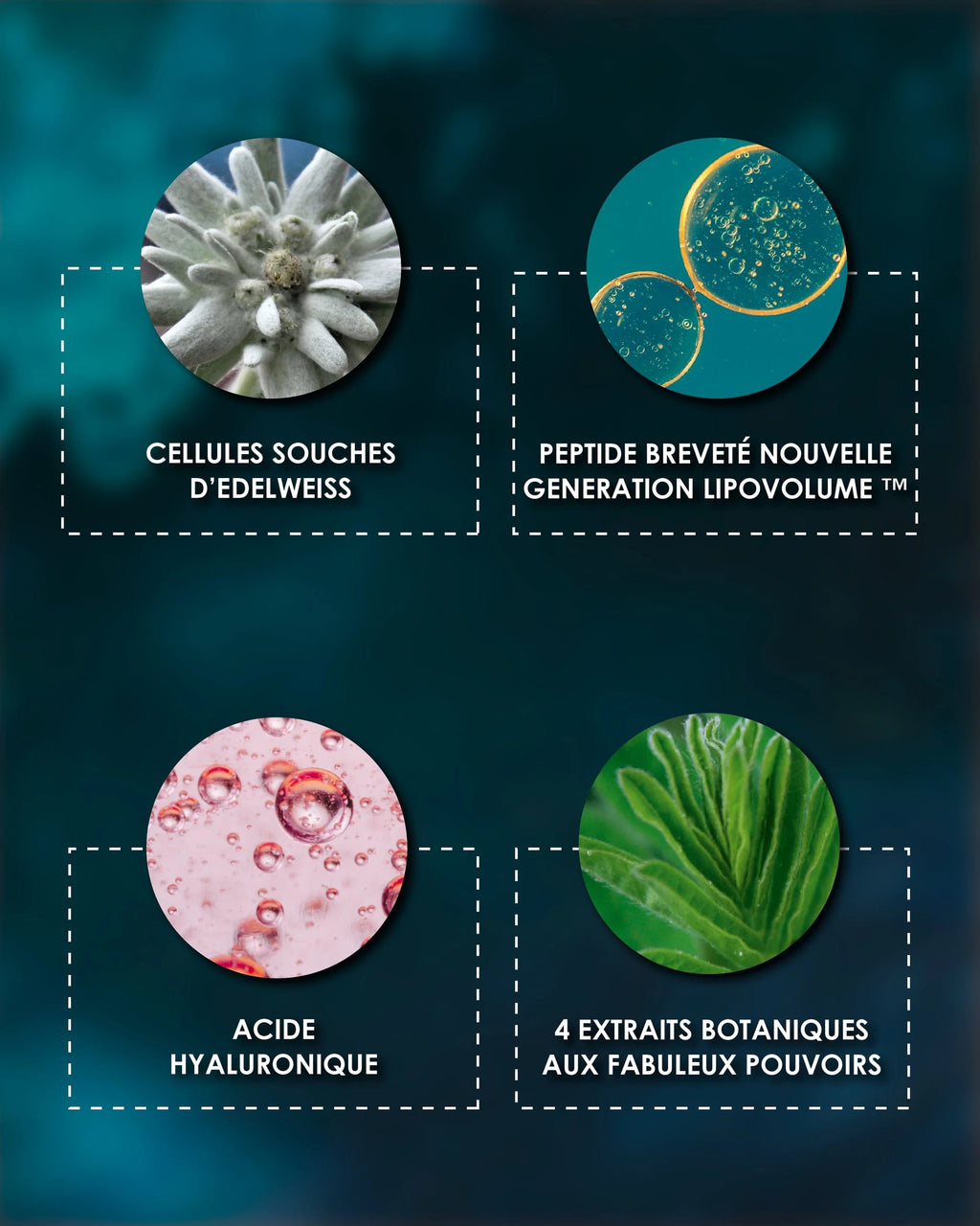Garancia Anti-Aging & Anti-Wrinkle Laboratory [À la belle ÉTOILE]