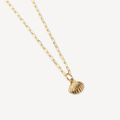 Collier Coquillage
