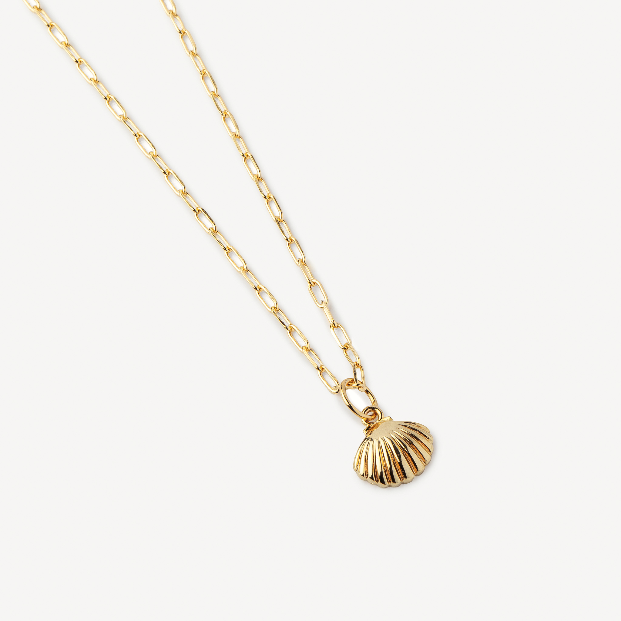 Collier Coquillage