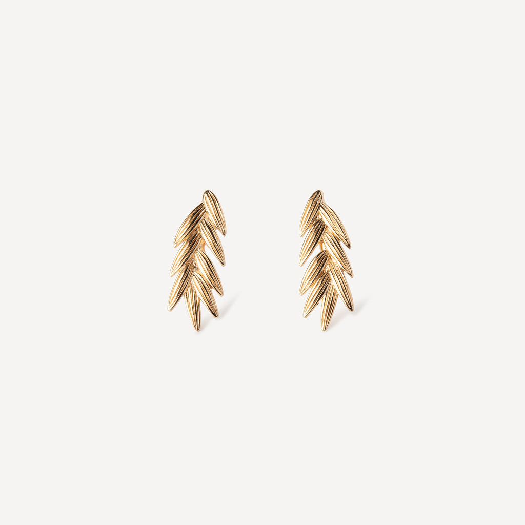 Boucles D'Oreilles Renaissance