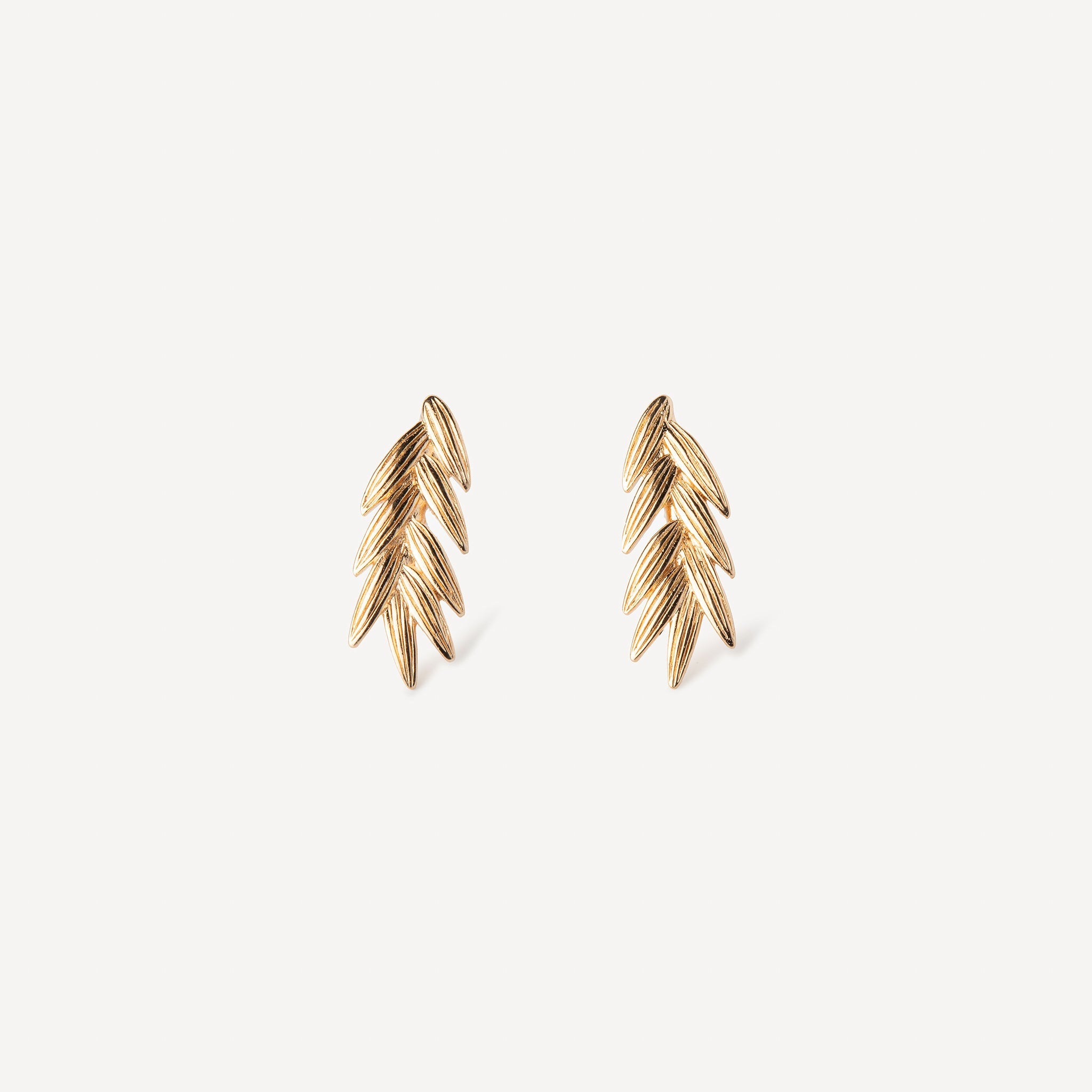 Boucles D'Oreilles Renaissance