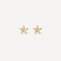 Boucles D'Oreilles Arielle