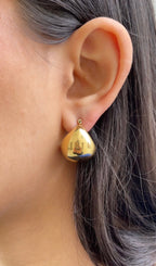 Big Nut Earrings