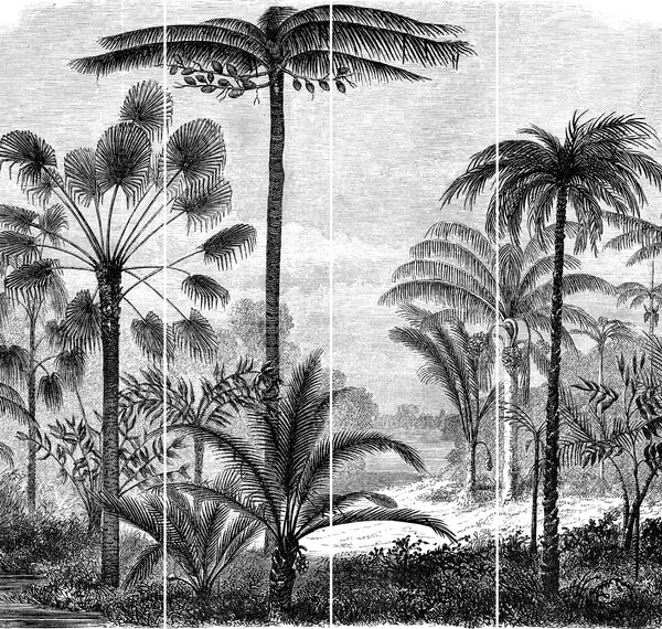 Lé Papiers De Ninon – Vinilo para armario Aladin - Multicolore, dibujo en blanco y negro de un bosque tropical con grandes palmeras