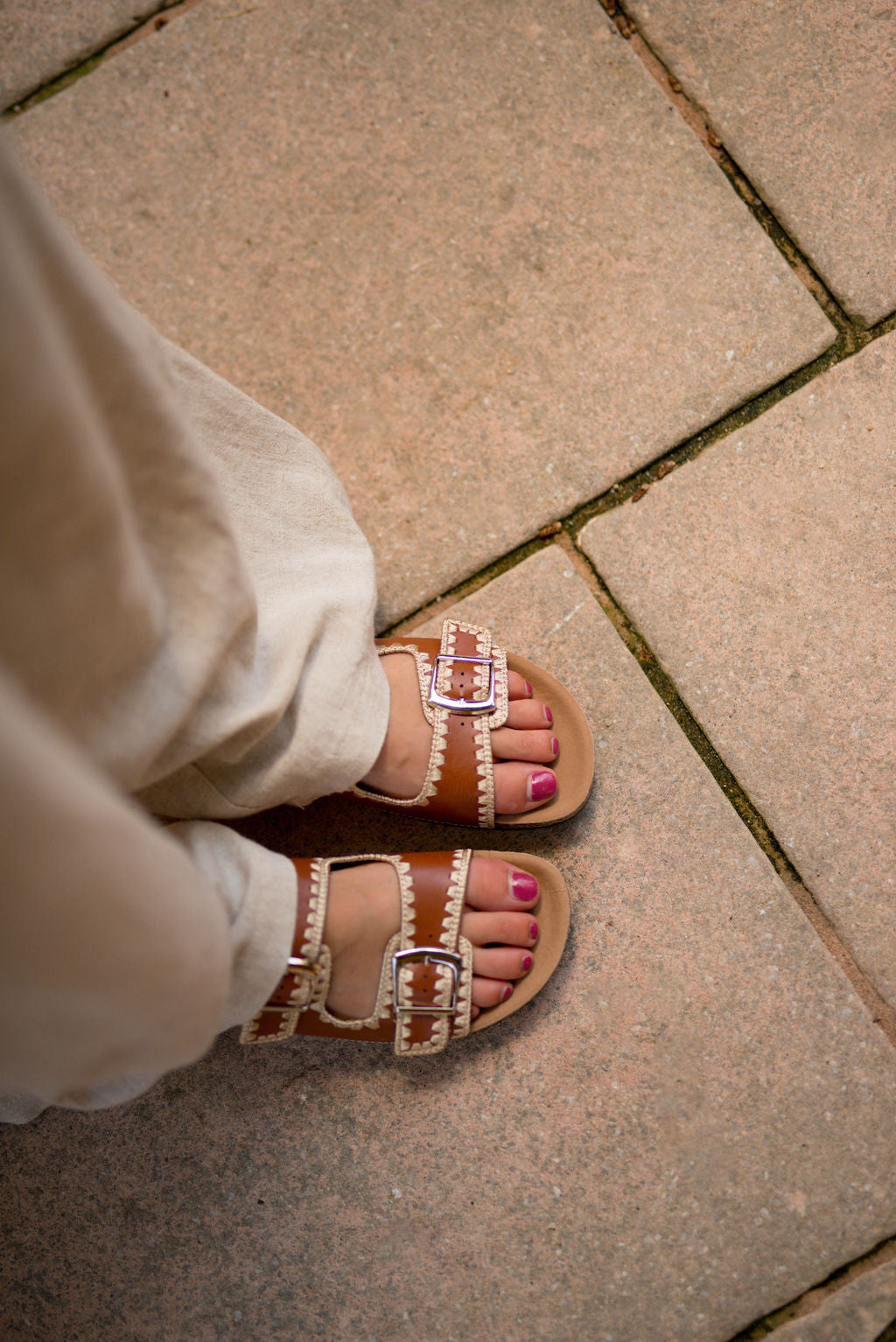 Basile Camel Mules