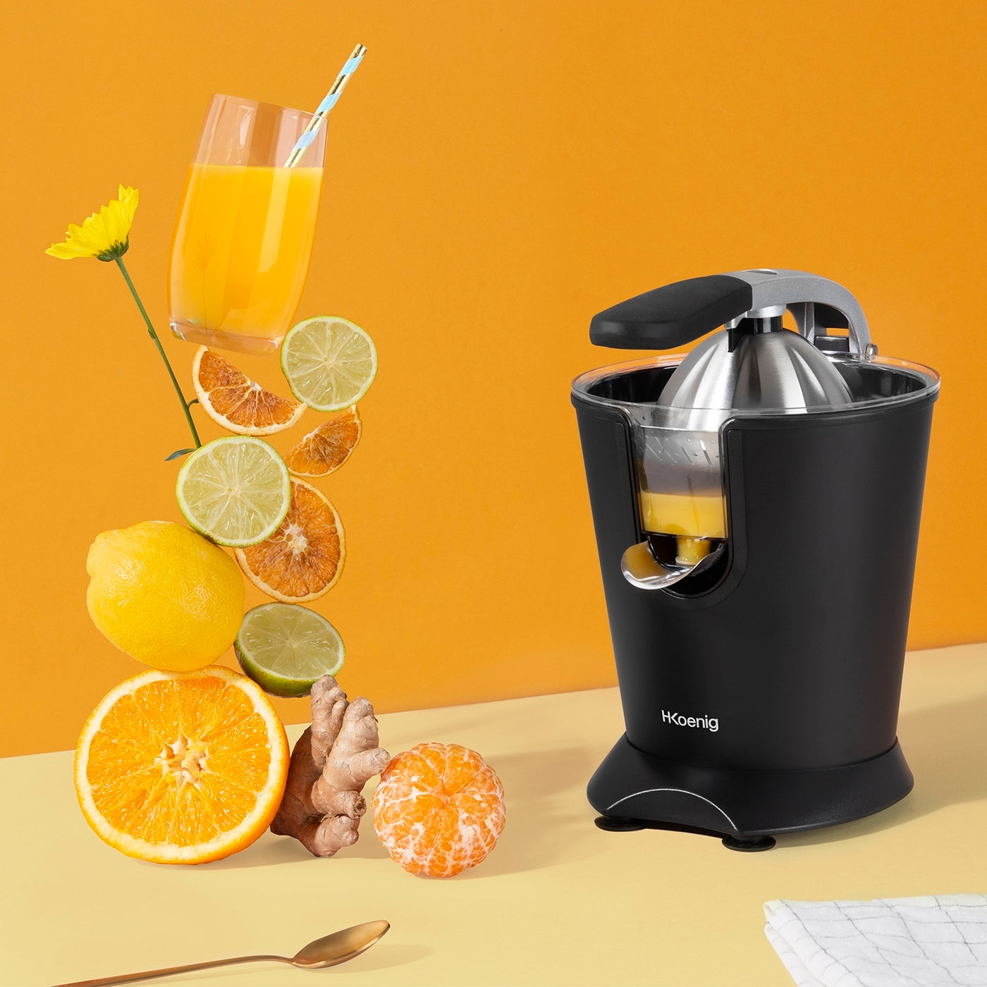Citrus Juicer - Black