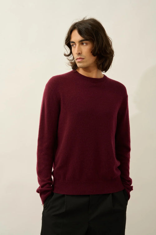 Pull Col Rond - Aiglière - Mûre