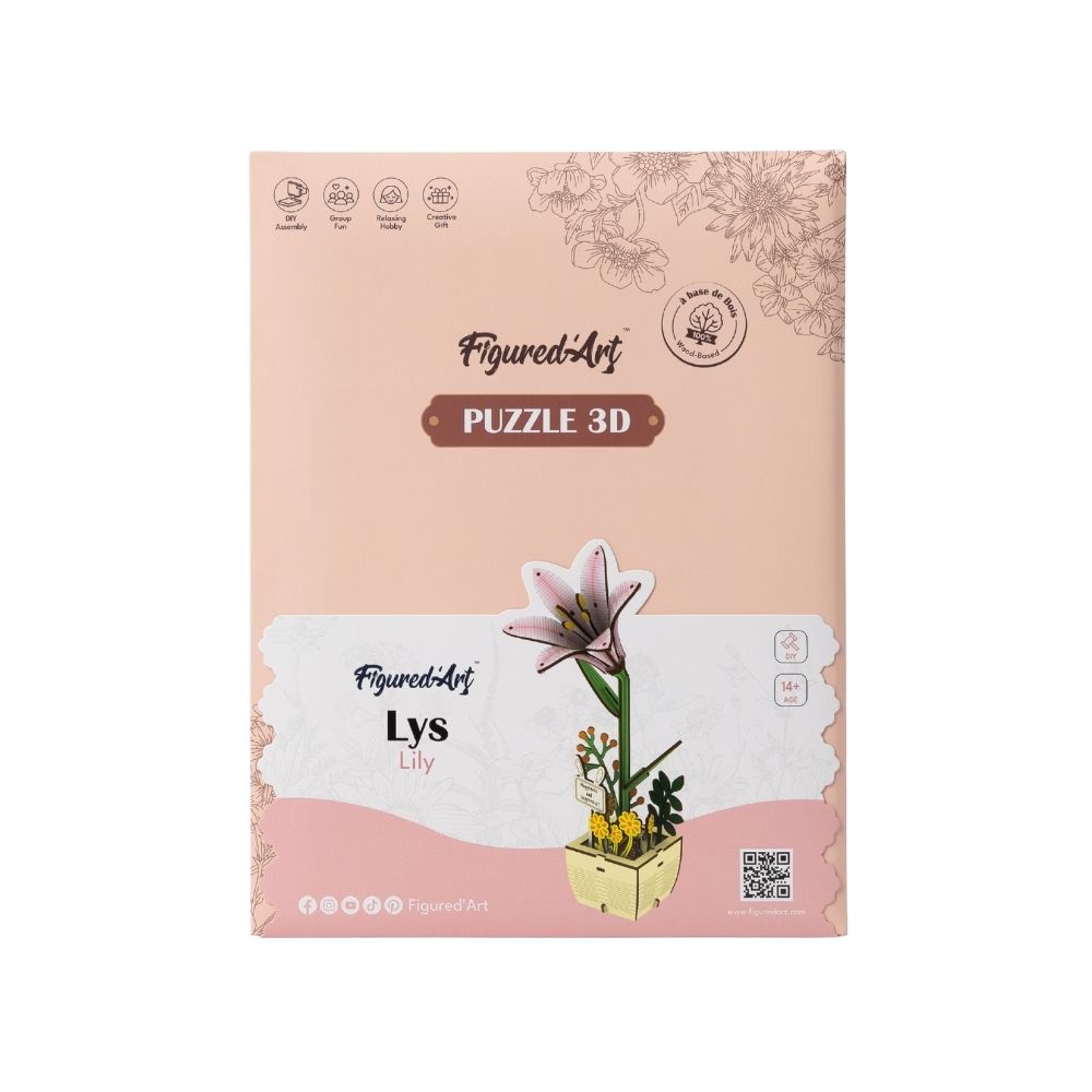Puzzle 3D - Lys