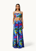 Conjunto de mariposas Alma