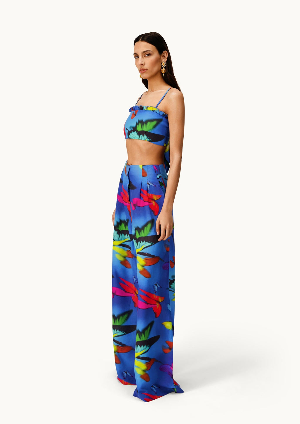 Conjunto de mariposas Alma