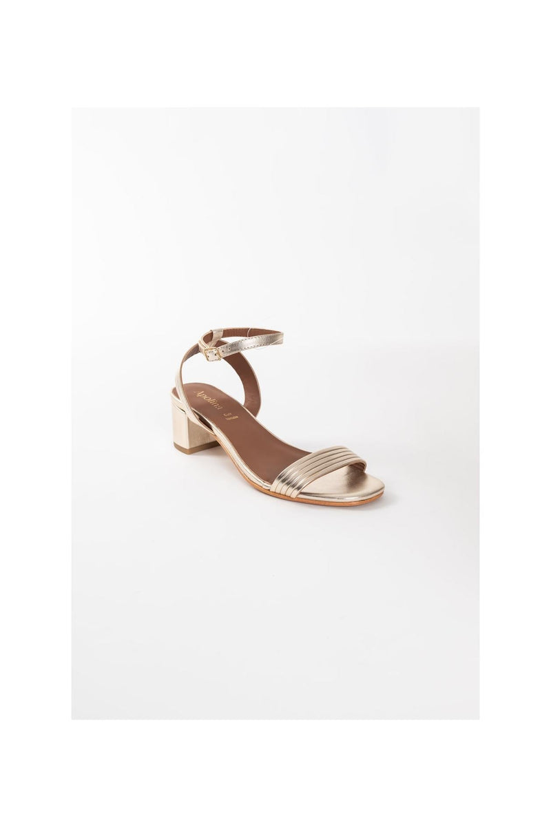 Calank - Talons Ely - Doré