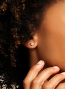 Puces D'Oreilles Astrid