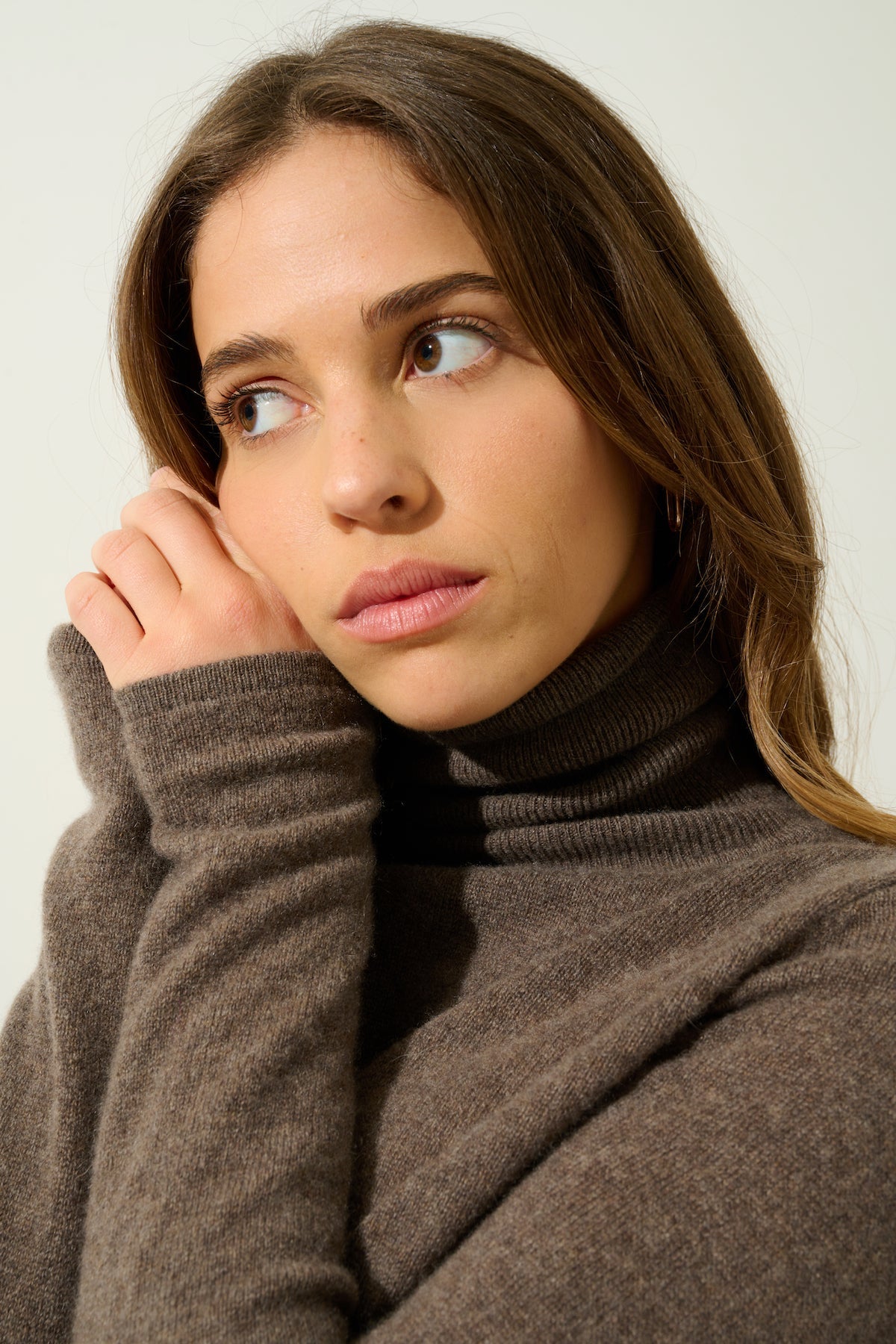 Pull Col Roulé - Bise - Marron