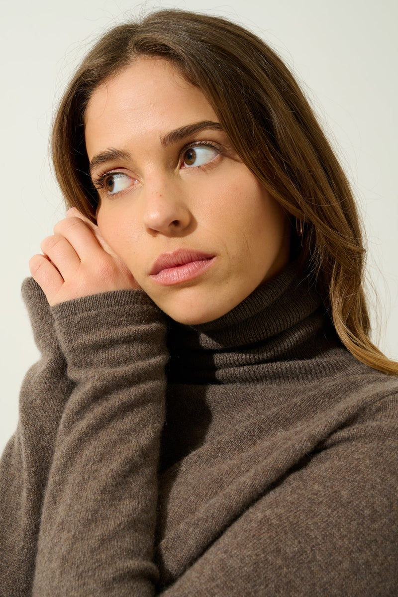 Pull Col Roulé - Bise - Marron